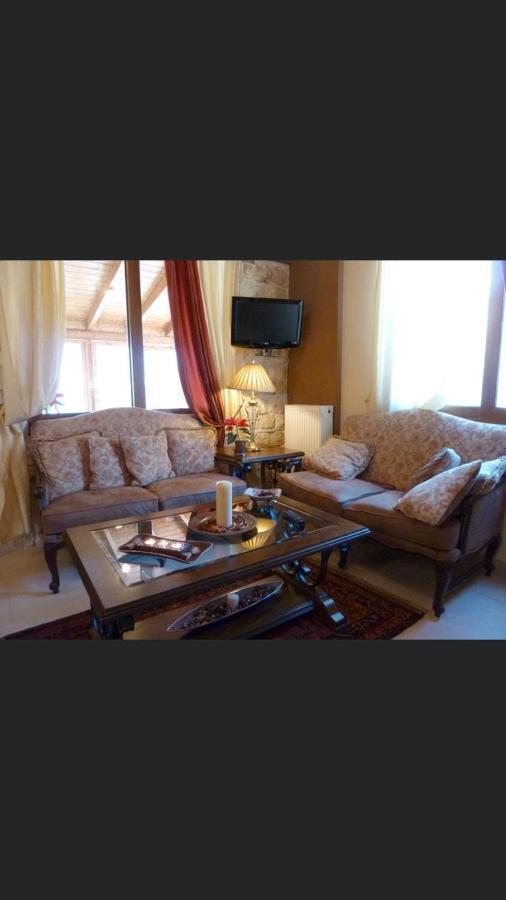 Aetoma Suites Synikia Mesi Trikalon Екстериор снимка