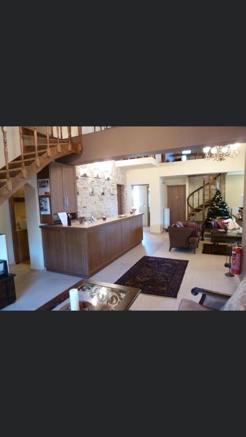 Aetoma Suites Synikia Mesi Trikalon Екстериор снимка