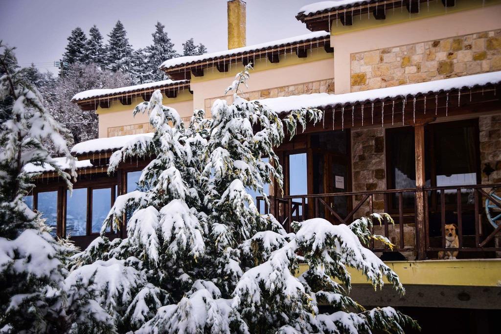 Aetoma Suites Synikia Mesi Trikalon Екстериор снимка