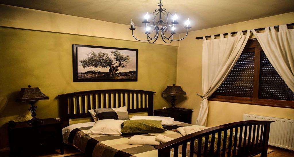 Aetoma Suites Synikia Mesi Trikalon Екстериор снимка